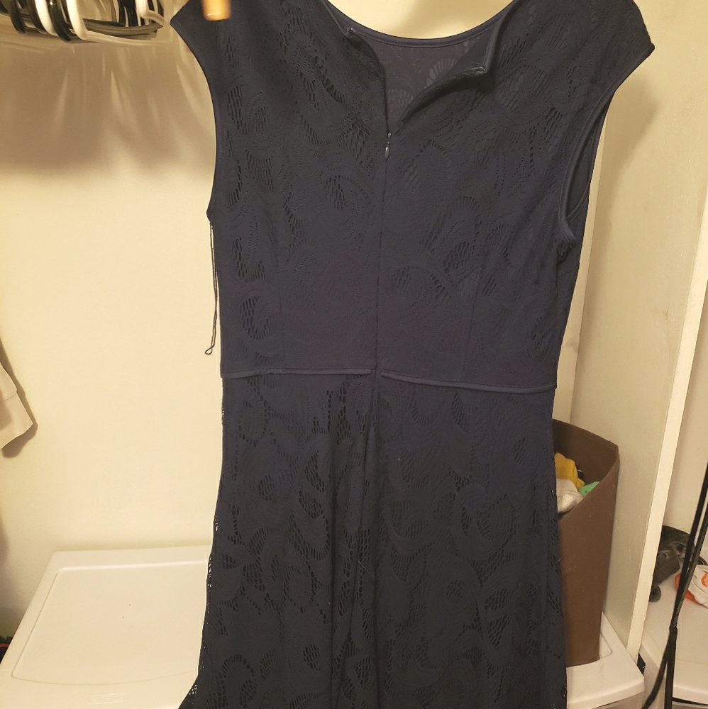 Wisp Lace Knit Dress